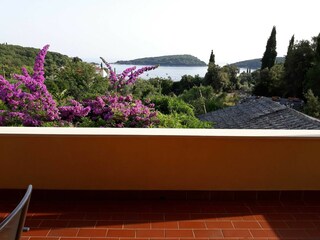 Appartement Molunat  17