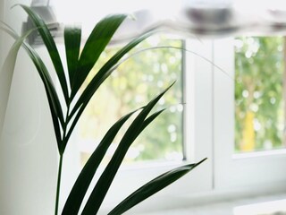 Appartement Povlja Kenmerken 6