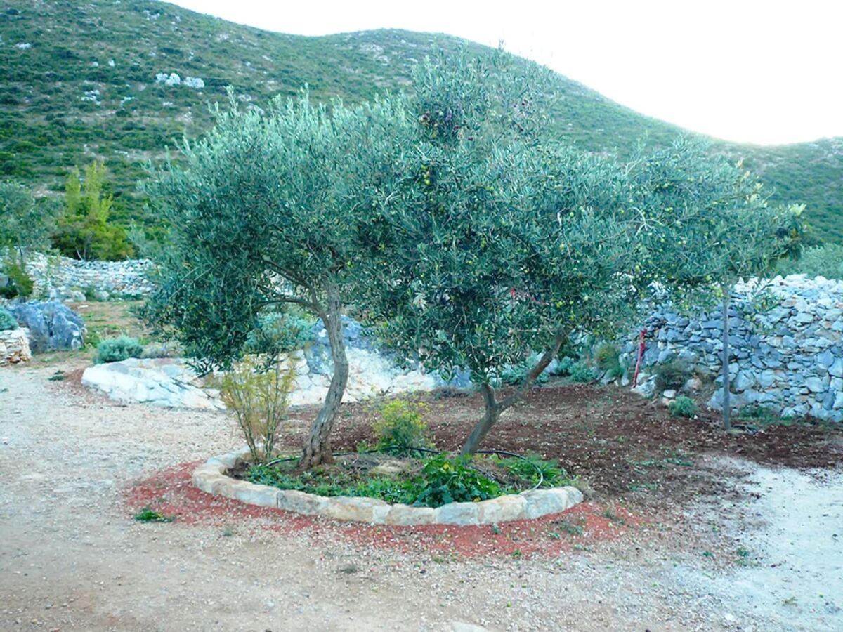 Casa de vacaciones Trpanj Grabación al aire libre 1