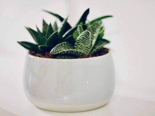 Apartamento Kaštel Lukšić  33