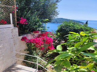 Apartment Dubrovnik Außenaufnahme 3