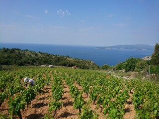 Casa de vacaciones Potomje  20