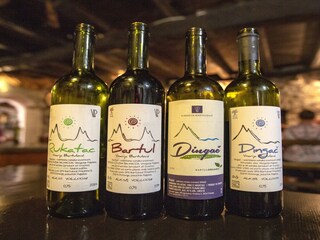 Holiday house Potomje  35