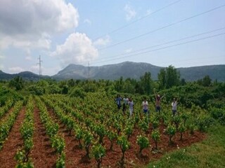 Casa de vacaciones Potomje  27