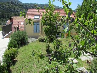 Holiday house Potomje  22