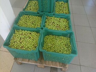 Maison de vacances Potomje  36