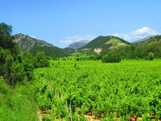 Casa de vacaciones Potomje  52