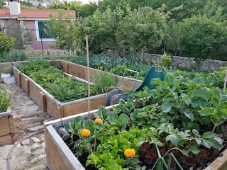 Villa Solin Außenaufnahme 8