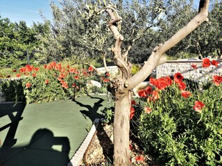 Villa Solin Grabación al aire libre 2