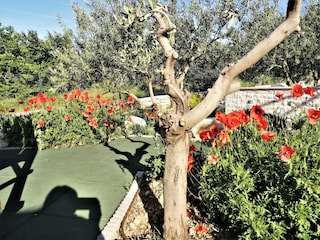 Villa Solin Registrazione all'aperto 2