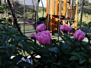 Villa Solin Buitenaudio-opname 8