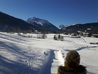 Spaziergang mit Blick auf Hochkalter und Reiteralpe