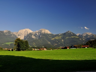 Spaziergang in der Schönau