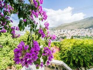 Apartamento Dubrovnik  29