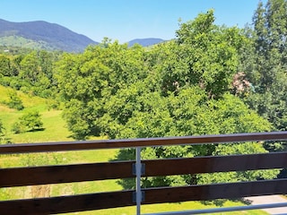 Appartement Grabovac  55
