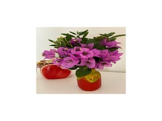 Apartment Dubrovnik  24