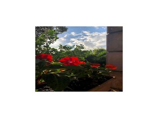 Appartement Dubrovnik Buitenaudio-opname 3