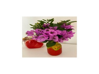 Appartement Dubrovnik  26