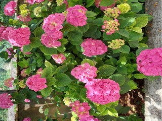 Appartement Opatija Enregistrement extérieur 6