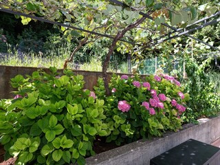 Apartamento Opatija  38