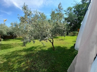 Ferienhaus Loborika Außenaufnahme 5