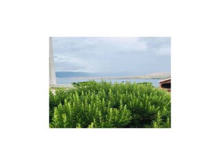 Appartement Pag (Stadt)  31
