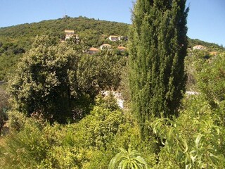 Apartment Molunat  31