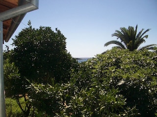 Apartment Molunat  30