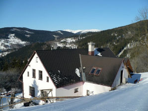 Ferienhaus Berghütte Jaroslav Sevcik - Strazne - image1