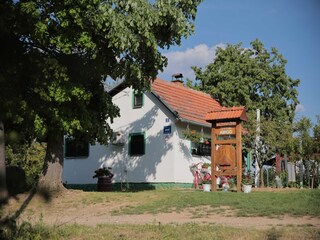 Apartment Drnje Außenaufnahme 40