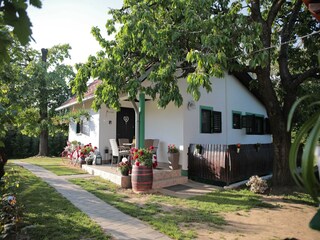 Apartment Drnje Außenaufnahme 16