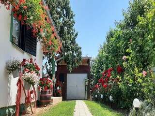 Appartement Drnje Buitenaudio-opname 45