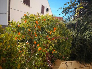 Apartment Dubrovnik Outdoor Recording 4