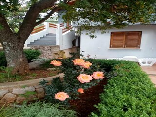 Appartement Karlobag Buitenaudio-opname 21