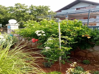 Apartment Karlobag Außenaufnahme 8