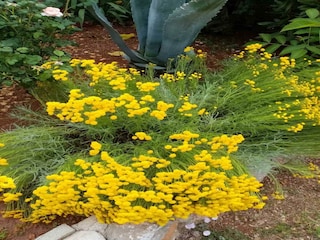 Appartamento Karlobag Registrazione all'aperto 24