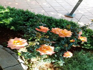 Apartment Karlobag Außenaufnahme 19