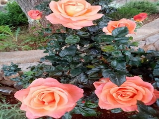 Apartamento Karlobag Grabación al aire libre 26