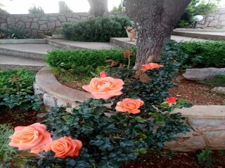 Appartamento Karlobag Registrazione all'aperto 2