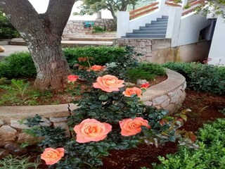 Appartement Karlobag Enregistrement extérieur 14