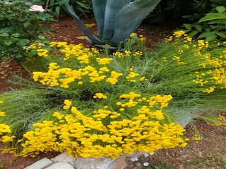 Appartement Karlobag Buitenaudio-opname 5