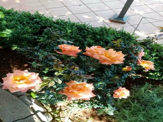 Appartement Karlobag Enregistrement extérieur 7