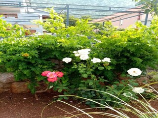 Appartamento Karlobag Registrazione all'aperto 19