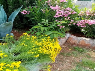 Apartment Karlobag Außenaufnahme 5