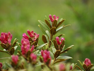 Appartamento per vacanze Neustift im Stubaital Ambiente 25
