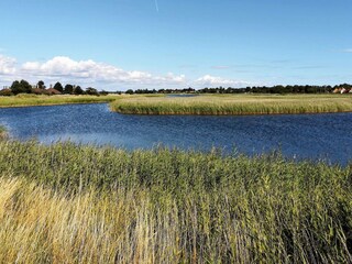 Holiday house Enø  11