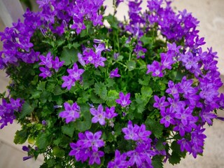 Appartement Dubrovnik Enregistrement extérieur 10