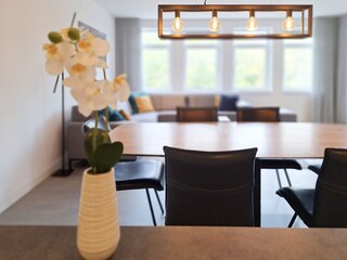 Appartamento Cadzand-Bad Caratteristiche 13