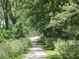 Appartement Cadzand-Bad Omgeving 12