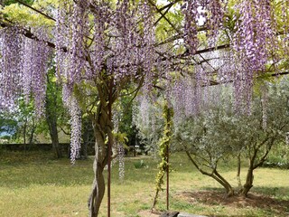 Casa per le vacanze Cabrières-d'Avignon Registrazione all'aperto 4